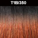 T1B350